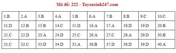 Dap an de thi tham khao mon Vat ly THPT quoc gia 2019-Hinh-10