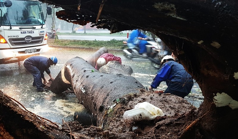 Nhung khoanh khac ngap lut kinh dien o Ha Noi va TP HCM-Hinh-11