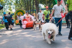 Le hoi cun cung 2019 tai Sai Gon quy tu hang tram chu cho dep-Hinh-11