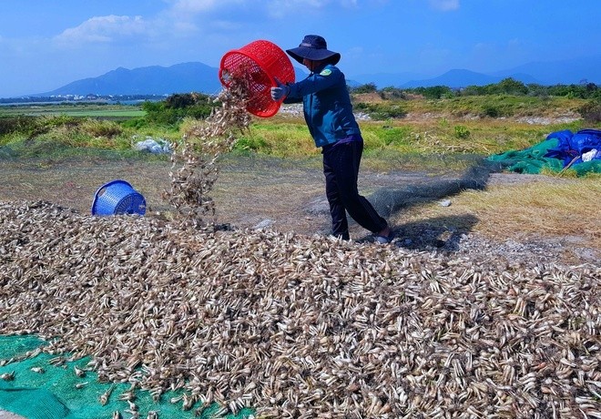 Hai san nha giau re chua tung co, Tet binh dan chon an dac san-Hinh-5