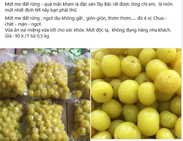 Thu moc dai o Viet Nam nay hai ban 200.000 dong/kg kiem tien nhanh gon-Hinh-4