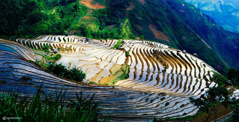 Len Mu Cang Chai ngam ruong bac thang mua nuoc do-Hinh-2