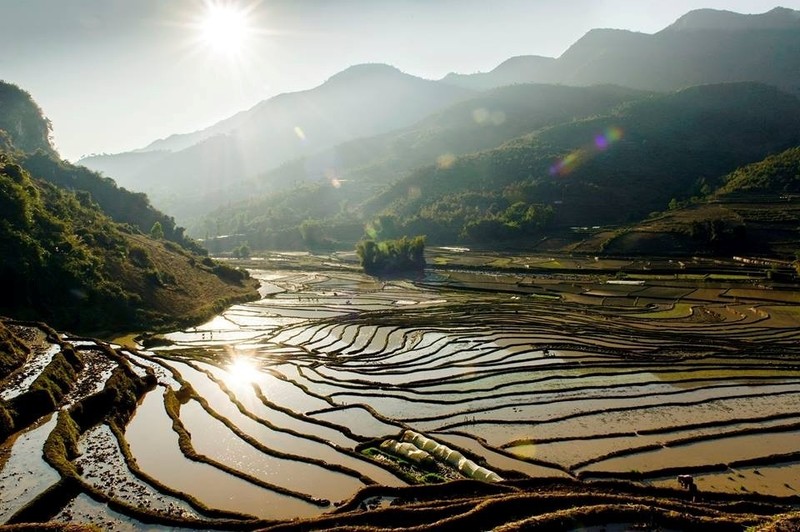 Len Mu Cang Chai ngam ruong bac thang mua nuoc do-Hinh-4