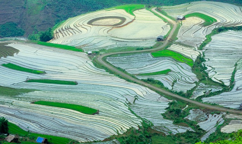 Len Mu Cang Chai ngam ruong bac thang mua nuoc do-Hinh-5