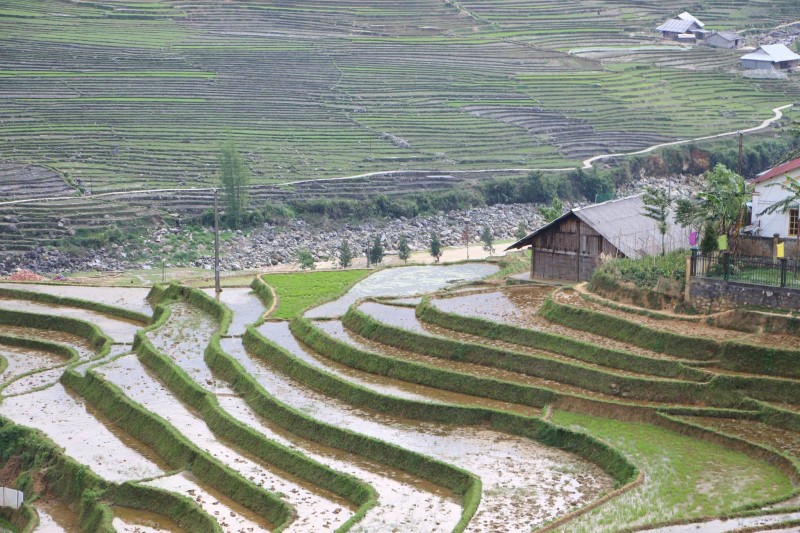 Len Mu Cang Chai ngam ruong bac thang mua nuoc do-Hinh-6