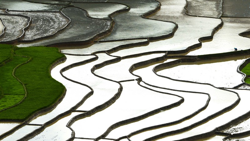 Len Mu Cang Chai ngam ruong bac thang mua nuoc do-Hinh-8