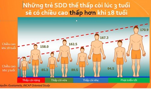 Nguyen nhan tre em Viet Nam thap coi top 20 the gioi-Hinh-2