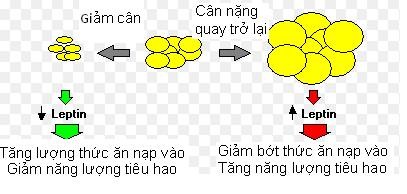 Vach mat thu pham khien ban khong the giam can-Hinh-4