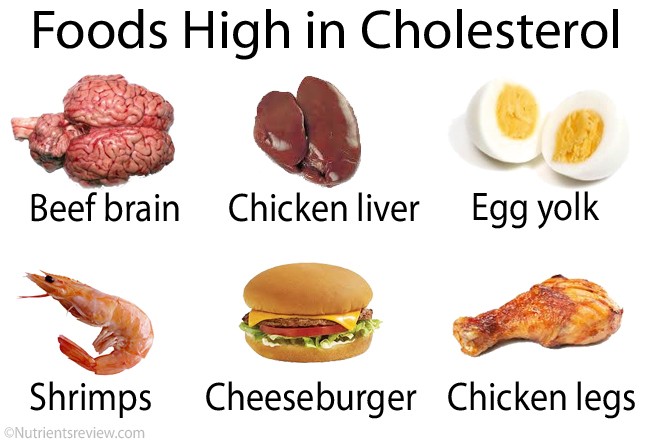 Ly giai hien tuong cholesterol cao o nguoi gay-Hinh-4