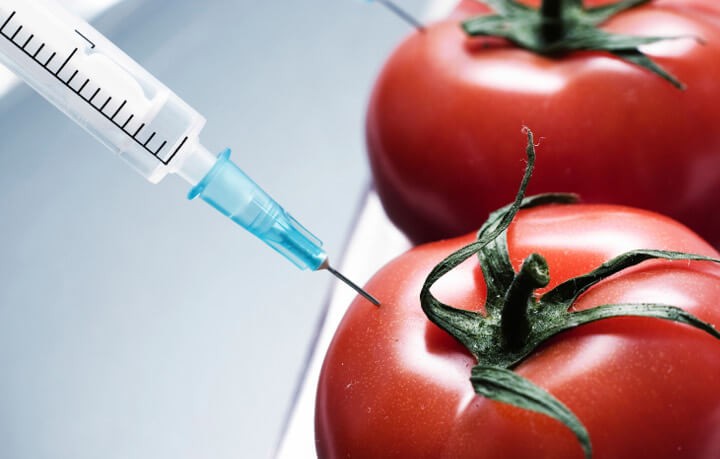 Diem mat thuc pham GMO pho bien trong mam com Viet-Hinh-8