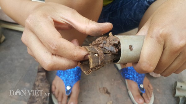 Kiem bac trieu moi ngay giua mua nang nho bay luon dong-Hinh-2