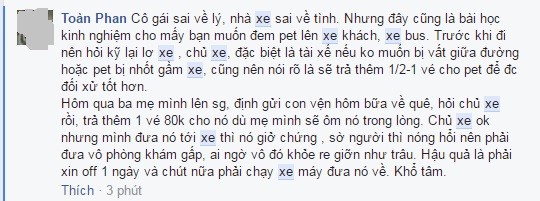 Tranh cai vu co gai bi bo lai giua dem do mang meo len xe-Hinh-3