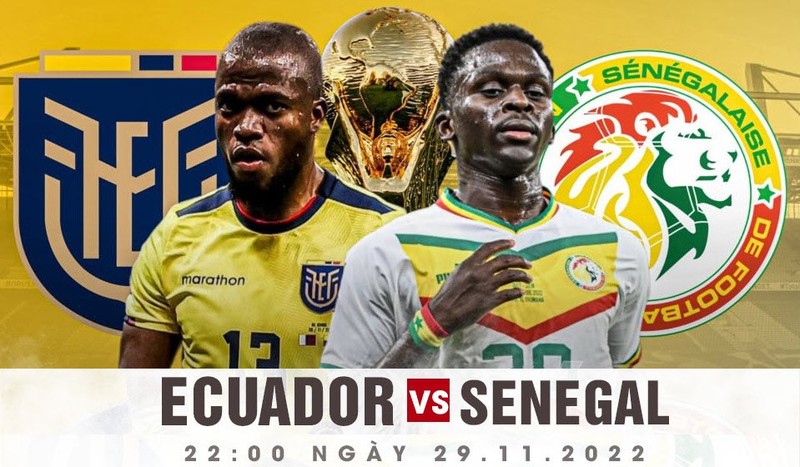Nhan dinh soi keo Ecuador vs Senegal 22h 29/11 bang A World Cup 2022