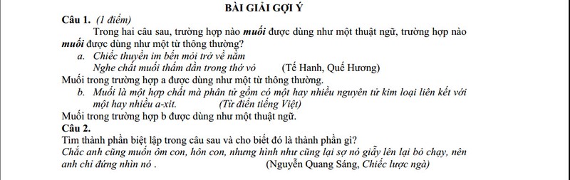 De thi lop 10 mon Ngu Van TP Da Nang nam hoc 2014-Hinh-2