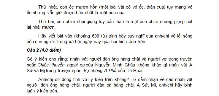 De thi thu THPT quoc gia mon Ngu Van TP Can Tho va dap an-Hinh-2