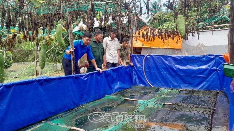 Nuoi du thu con, cuu chien binh Ca Mau thu 150 trieu dong/nam