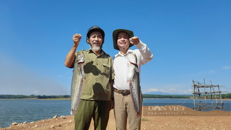 Quang Tri: Ban 85.000 dong/kg hut hang tu viec nuoi ca leo