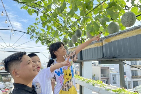 Lam vuon theo mo hinh Aquaponic, ca nha thoai mai huong trai ngot