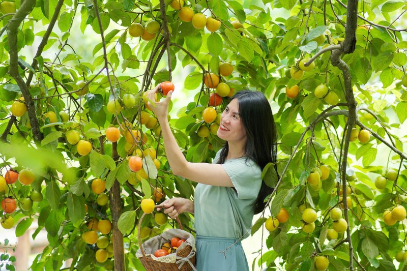 Bo viec luong cao, ve xay nha giua thung lung xanh muot-Hinh-7