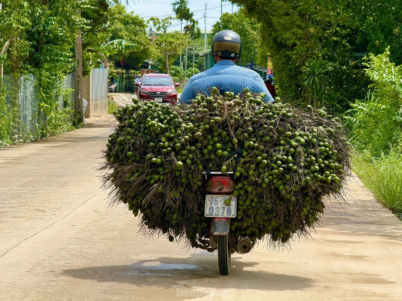 Gia cau tuoi tang manh, nguoi dan vua phan khoi vua lo lang-Hinh-10