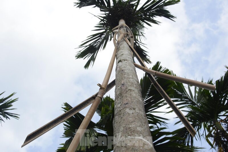 Gia cau tuoi tang manh, nguoi dan vua phan khoi vua lo lang-Hinh-15