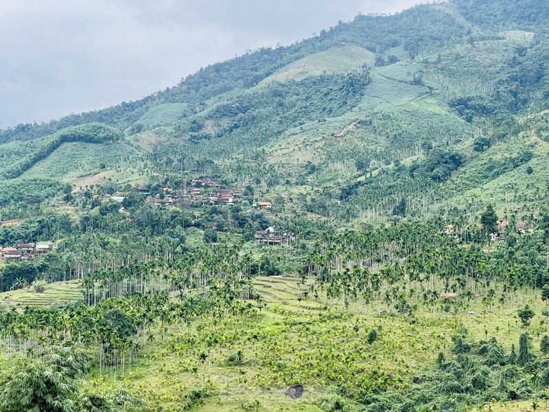 Gia cau tuoi tang manh, nguoi dan vua phan khoi vua lo lang-Hinh-16