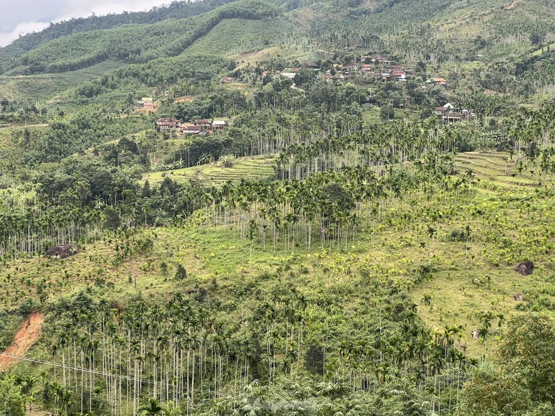 Gia cau tuoi tang manh, nguoi dan vua phan khoi vua lo lang-Hinh-17