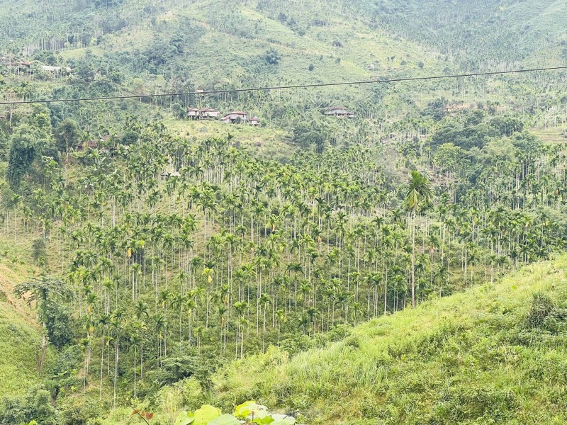 Gia cau tuoi tang manh, nguoi dan vua phan khoi vua lo lang-Hinh-18