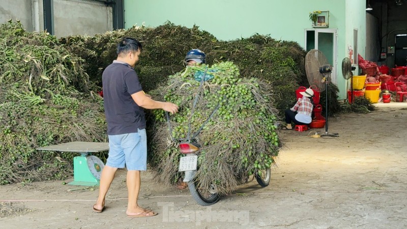 Gia cau tuoi tang manh, nguoi dan vua phan khoi vua lo lang-Hinh-6