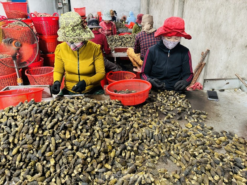 Gia cau tuoi tang manh, nguoi dan vua phan khoi vua lo lang-Hinh-8