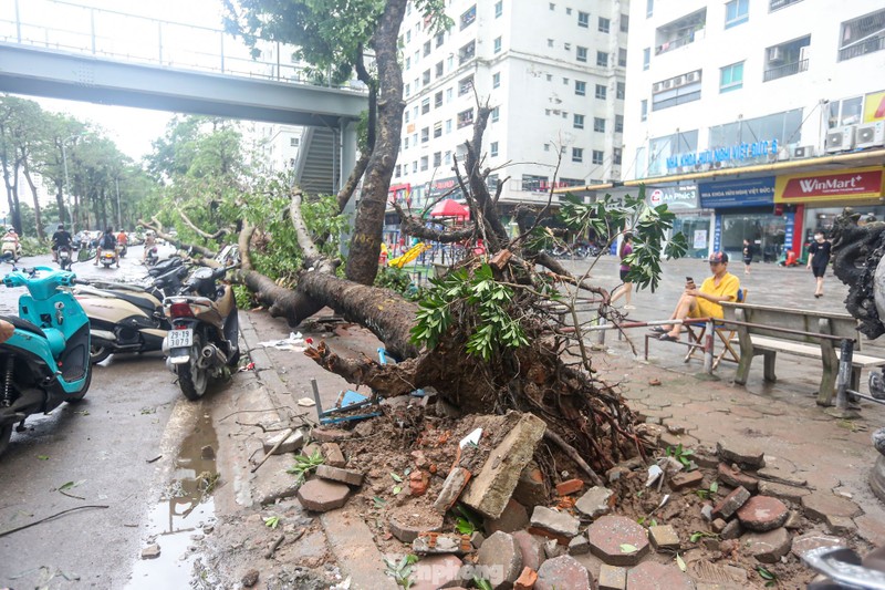 View - 	Hà Nội: Khu đô thị, khu chung cư hoang tàn sau bão