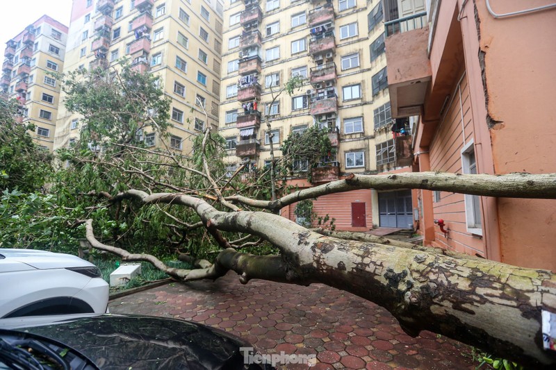 Ha Noi: Khu do thi, khu chung cu hoang tan sau bao-Hinh-4