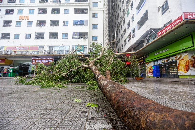 Ha Noi: Khu do thi, khu chung cu hoang tan sau bao