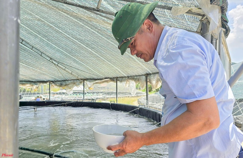 Nuoi tom mua dong, “Lao khung” thanh ti phu-Hinh-2