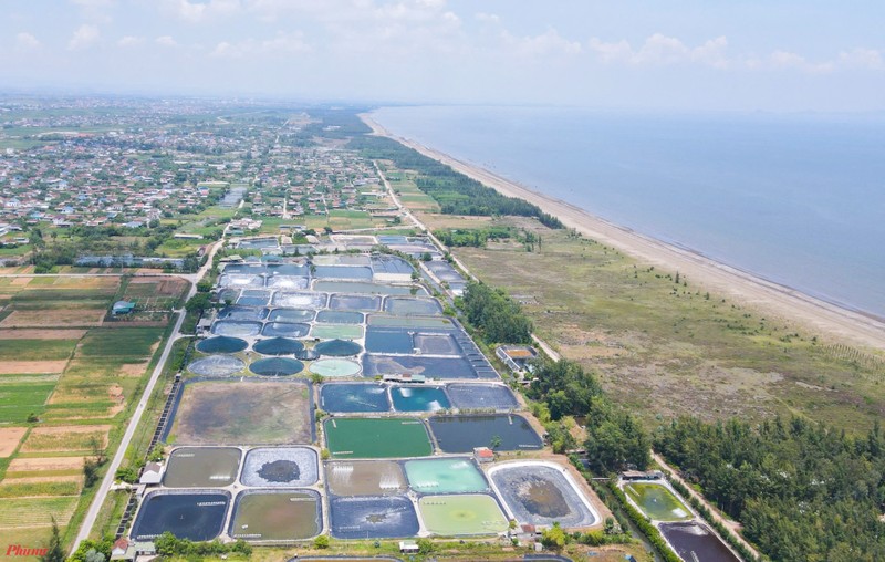 Nuoi tom mua dong, “Lao khung” thanh ti phu