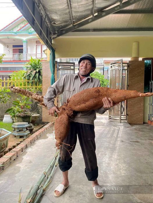 Vo tinh dao duoc cu san “khong lo” dai hon 1m, nang 25kg