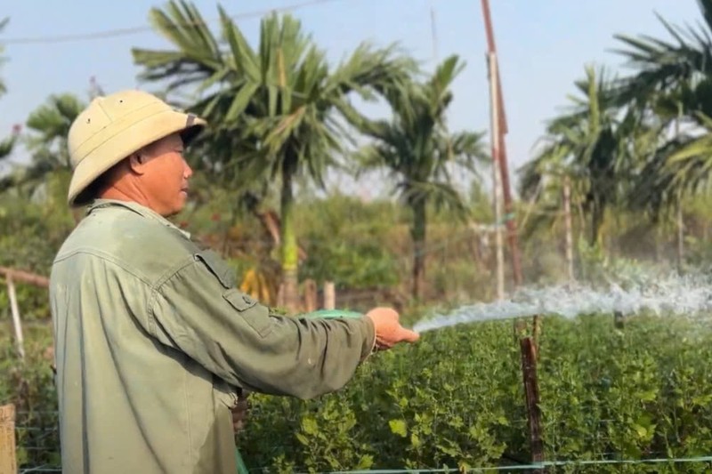 Ha Noi: Sau lu, nguoi dan trong su hao ban Tet