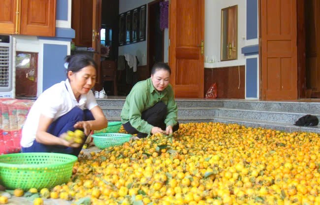 Nghe An: Loai qua dac san gia ban cao ky luc-Hinh-4