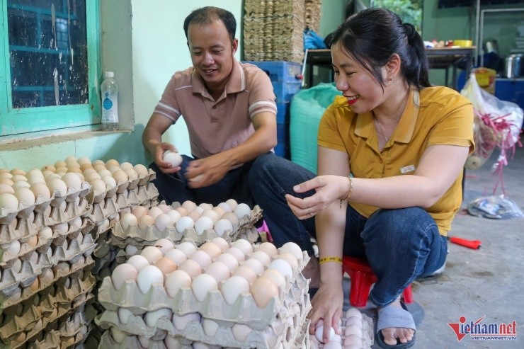 Doi vo chong tre doi doi nho nuoi ga 'nhan dao'-Hinh-6