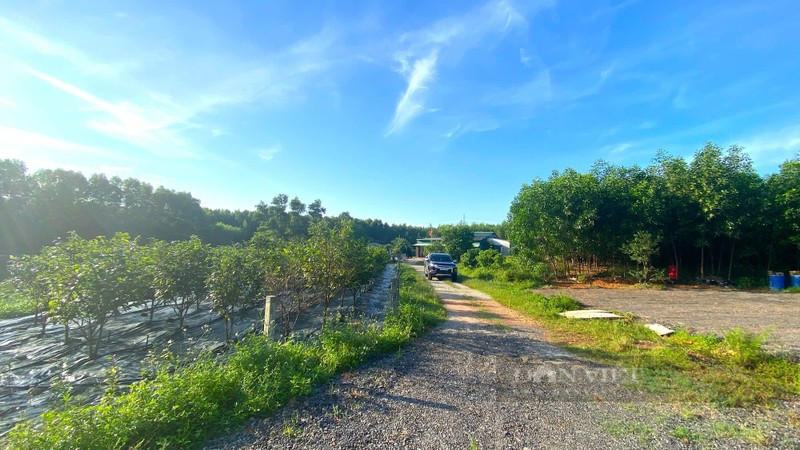 Bien vung doi kho can soi da thanh trang trai tien ty-Hinh-8