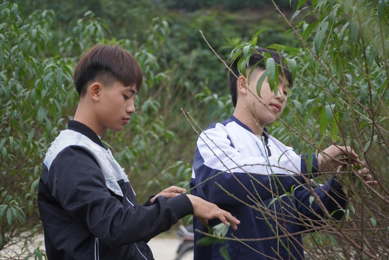 Nguoi dan lang dao tuot la, duong nu don Xuan ve-Hinh-8