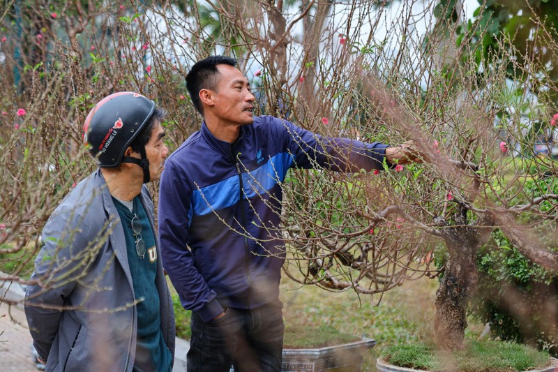 Dao co thu ngap tran khap pho Ha Noi, nghe gia giat minh-Hinh-18