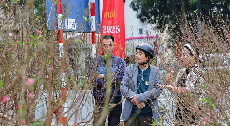 Dao co thu ngap tran khap pho Ha Noi, nghe gia giat minh