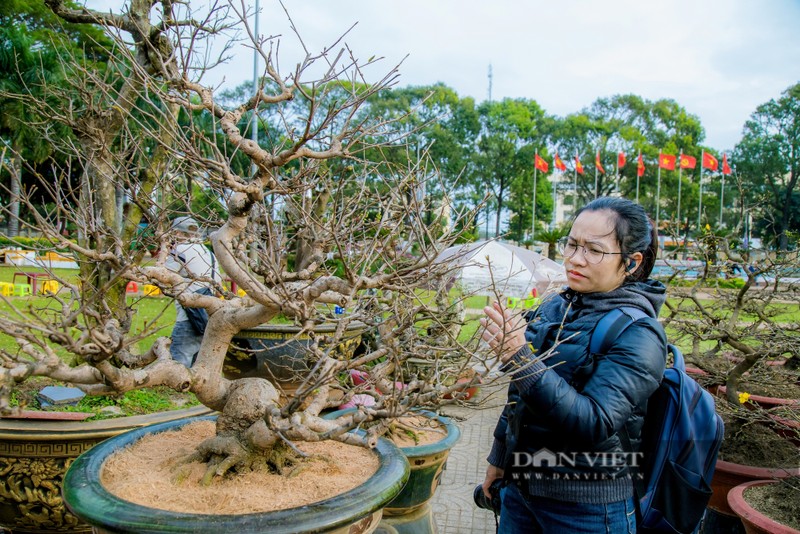 Dak Lak: Nguoi trong mai dieu dung, thi truong hoa Tet chao dao-Hinh-7