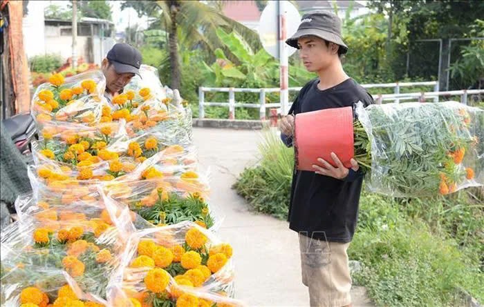 Lang hoa Tien Giang ron rang vao vu Tet-Hinh-5