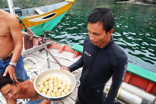 Chuyen la: Rua de trung duoi nuoc