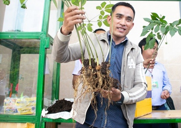 Le hoi sam Ngoc Linh Quang Nam: Xuat hien cay sam “khung” 20 nam tuoi duoc rao ban gan ty dong-Hinh-2