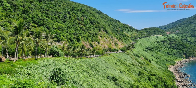 Kham pha Son Tra - diem check in sieu dep o pho bien Da Nang-Hinh-8