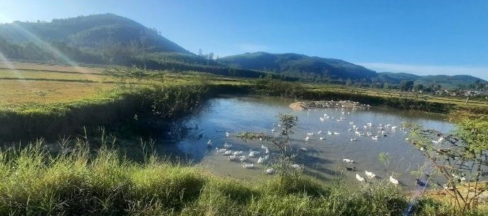 Quang Ngai: Mot hoc sinh duoi nuoc sau buoi den truong chuan bi khai giang