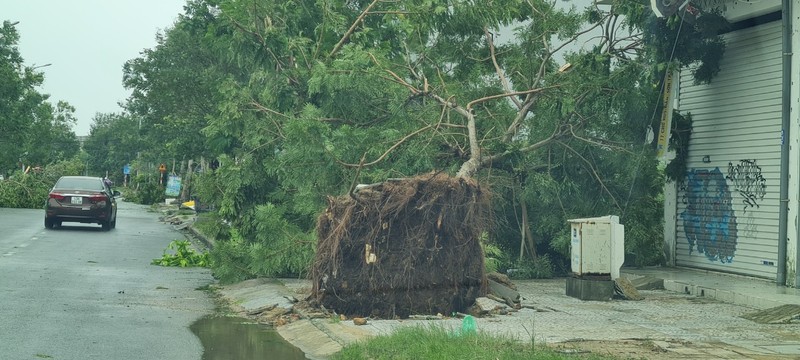 Quang Nam - Da Nang: Nhung thiet hai ban dau sau bao Noru do bo